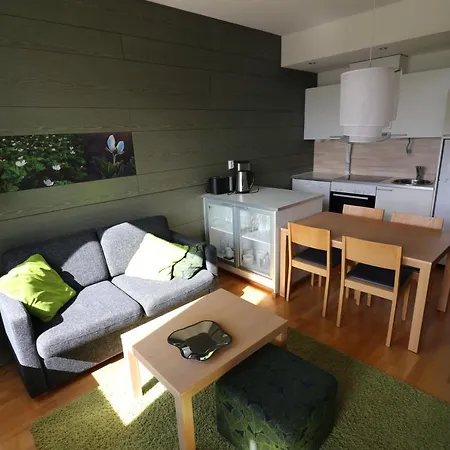 Yllaes 7202, Incl 2 Lift Tickets In Winter Season Apartment *